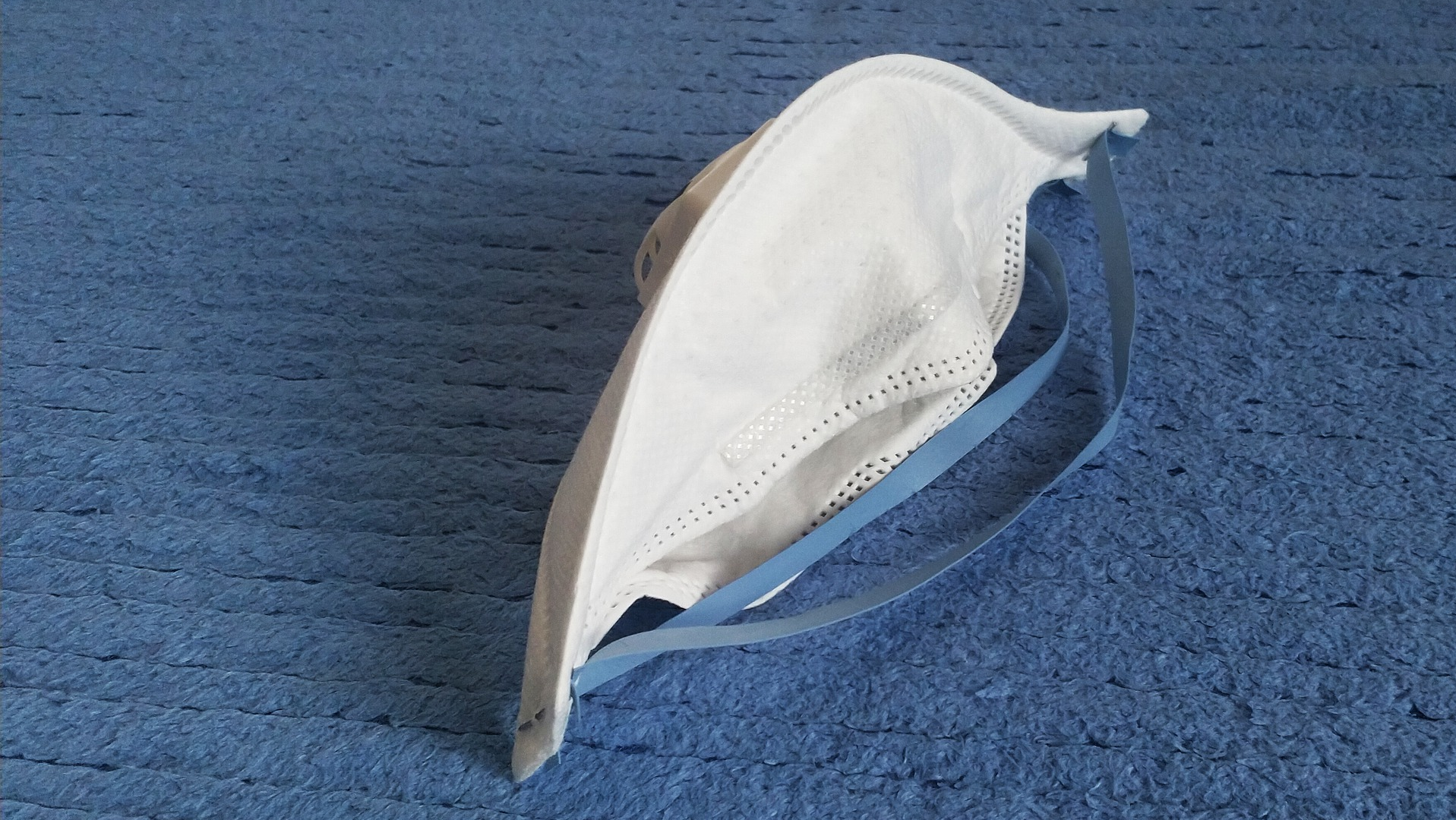 Image by Nana Cola from Pixabay