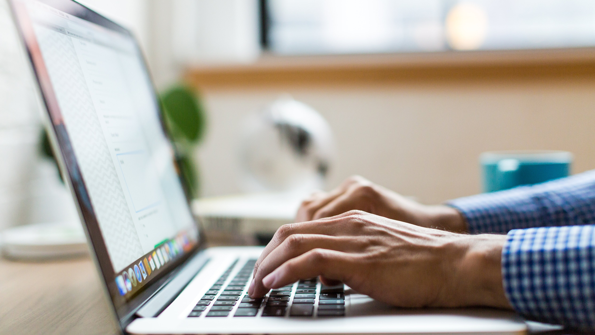 Photo by Burst on Unsplash