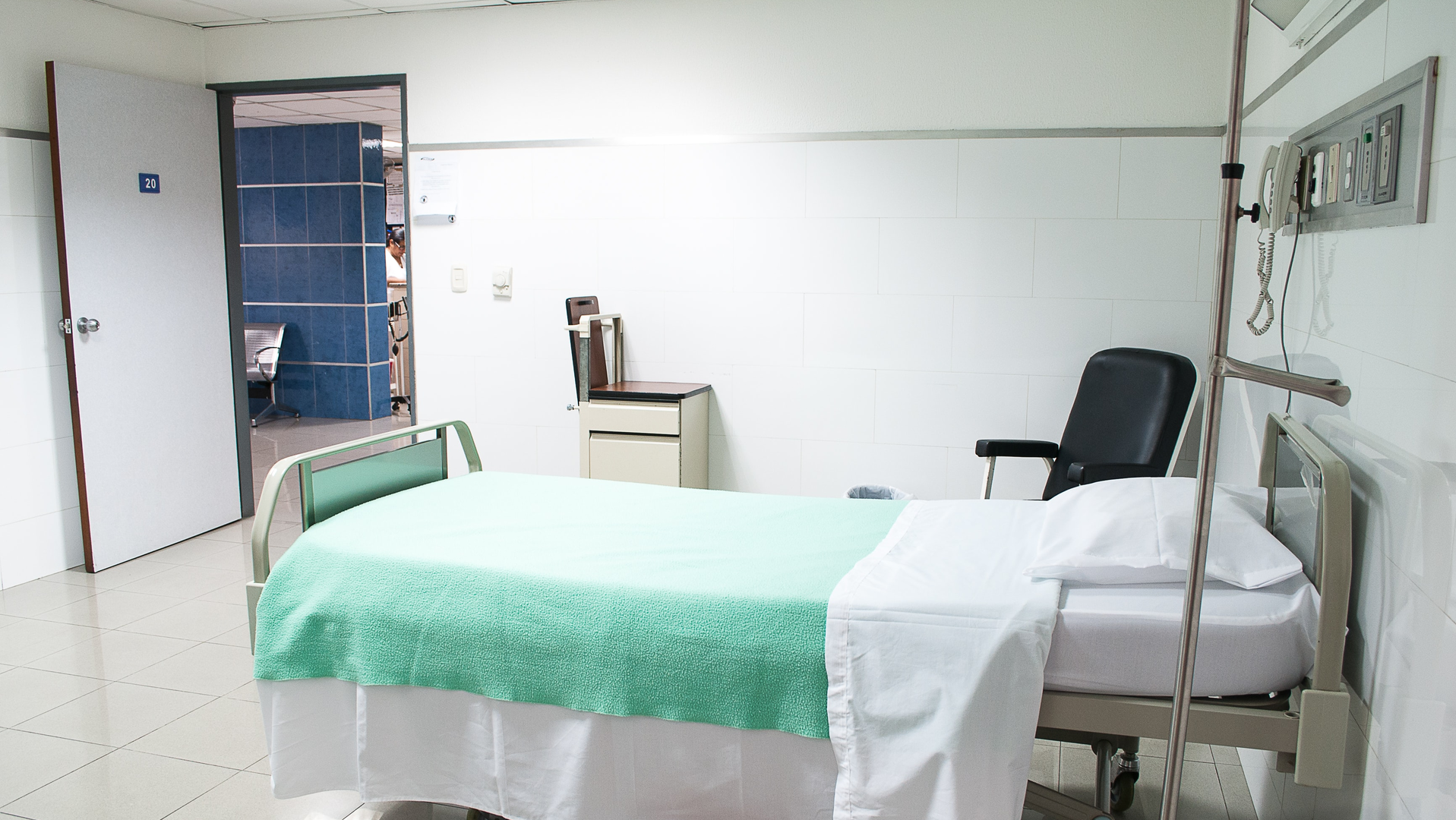 Photo by Martha Dominguez de Gouveia