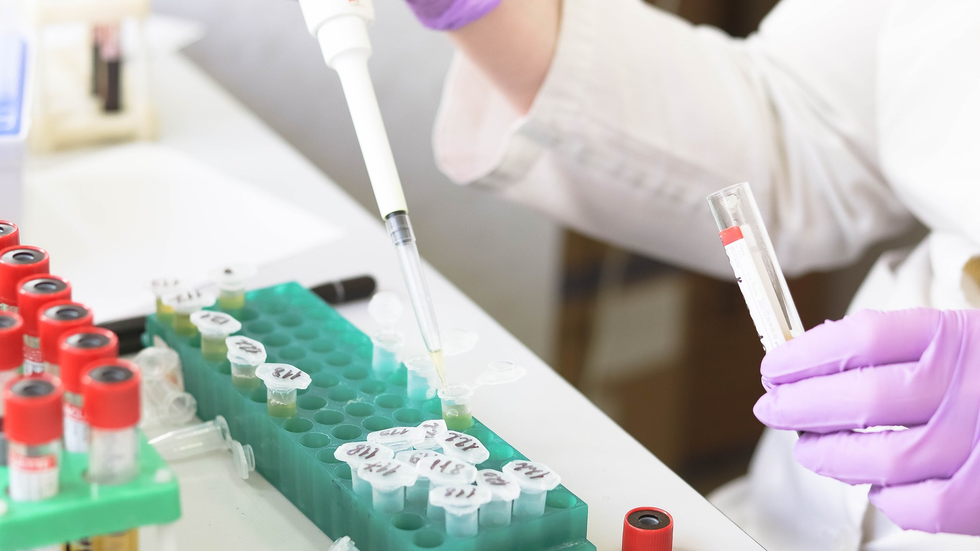 Image by Belova59 from Pixabay