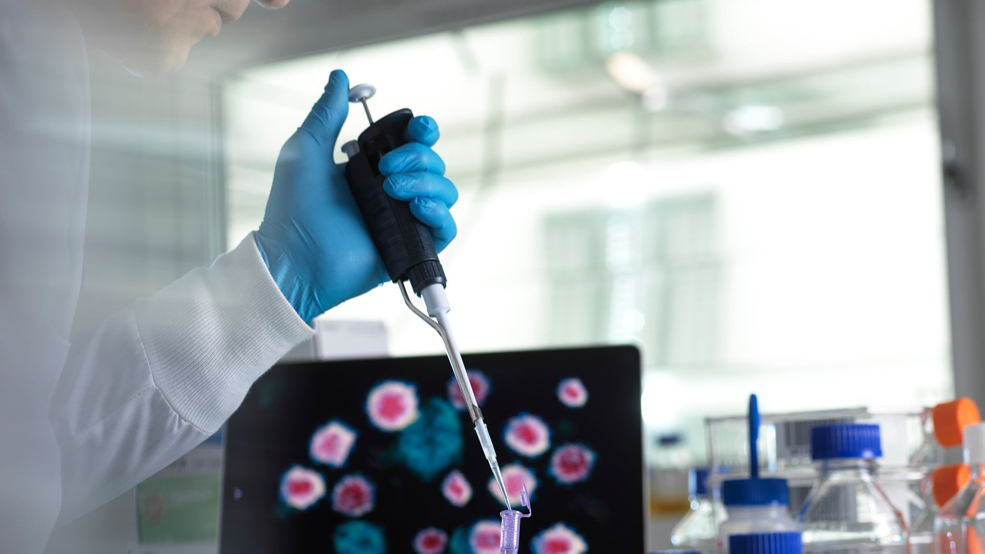 Image by &Tcy;&acy;&tcy;&softcy;&yacy;&ncy;&acy; &Kcy;&rcy;&acy;&scy;&ncy;&ocy;&vcy;&acy; from Pixabay