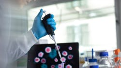 Image by Татьяна Краснова from Pixabay Image by Татьяна Краснова from Pixabay