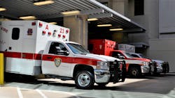 Image by F. Muhammad from Pixabay Image by F. Muhammad from Pixabay