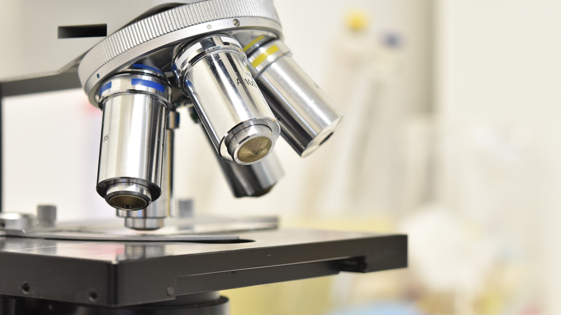 Image by __Penelope_ from Pixabay