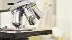 Image by __Penelope_ from Pixabay Image by __Penelope_ from Pixabay