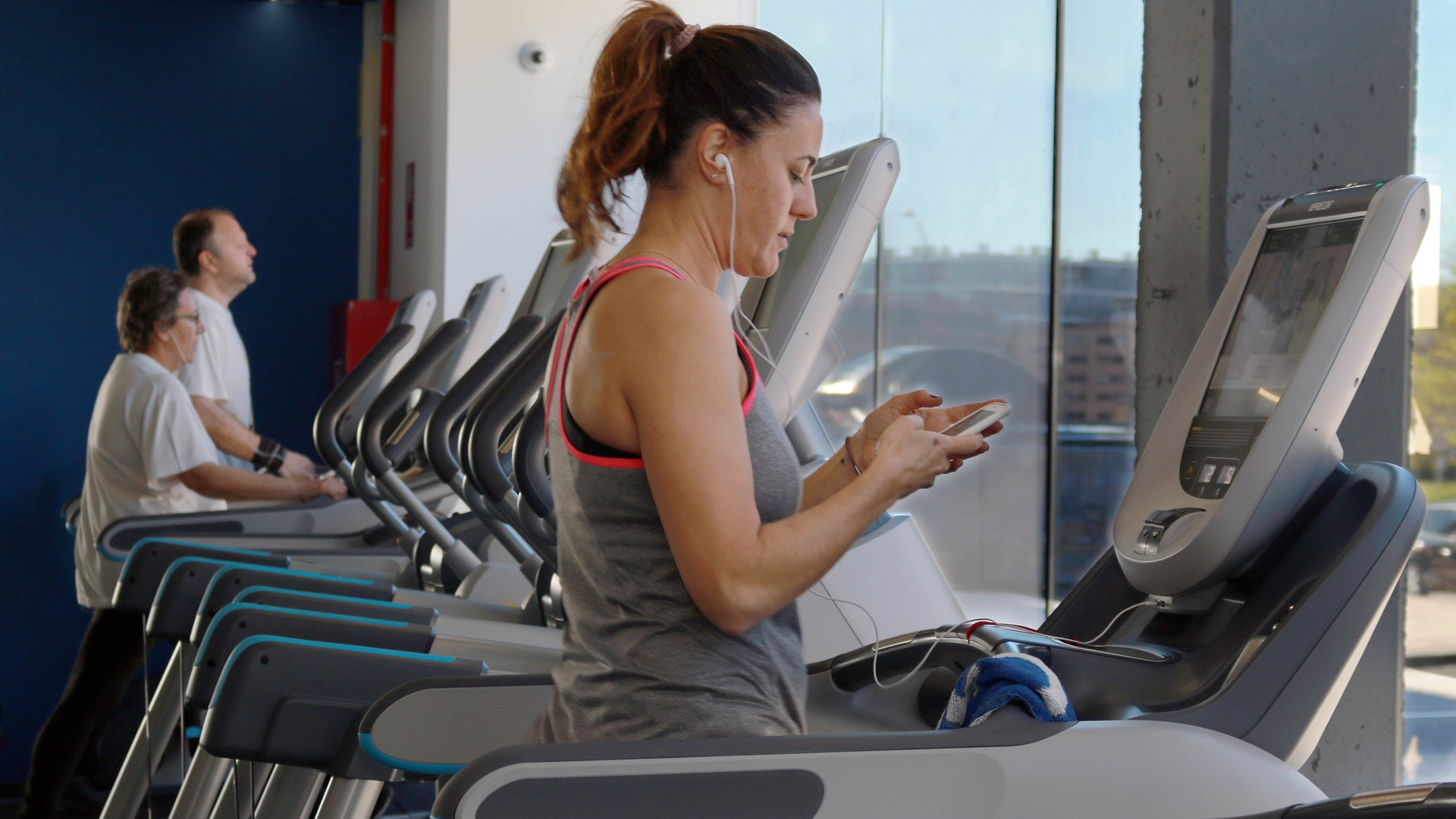 Image by Alterio Felines from Pixabay