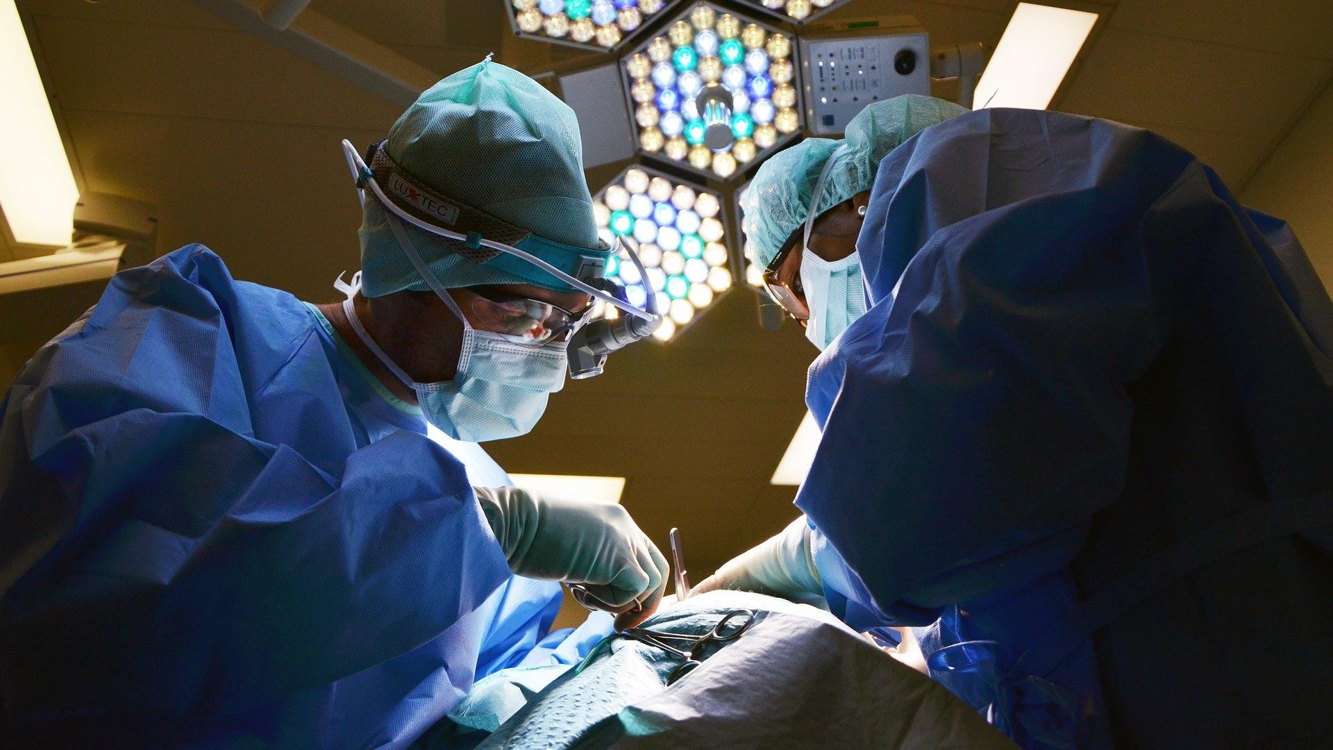 Image by marionbrun from Pixabay