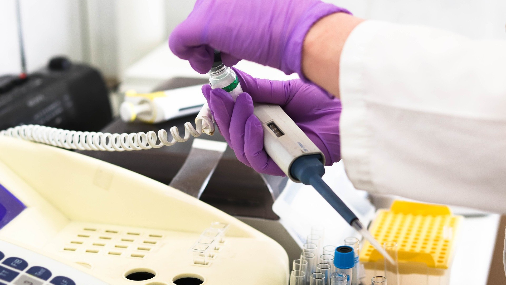 Image by Belova59 from Pixabay