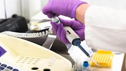 Image by Belova59 from Pixabay Image by Belova59 from Pixabay