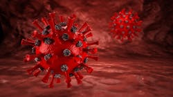 Image by Jürgen Jester from Pixabay Image by Jürgen Jester from Pixabay