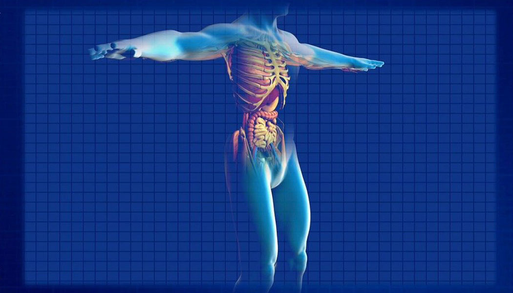 Study reveals previously unknown mechanisms in the kidney that control magnesium and calcium levels