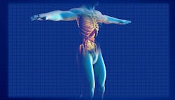 Study reveals previously unknown mechanisms in the kidney that control magnesium and calcium levels Study reveals previously unknown mechanisms in the kidney that control magnesium and calcium levels