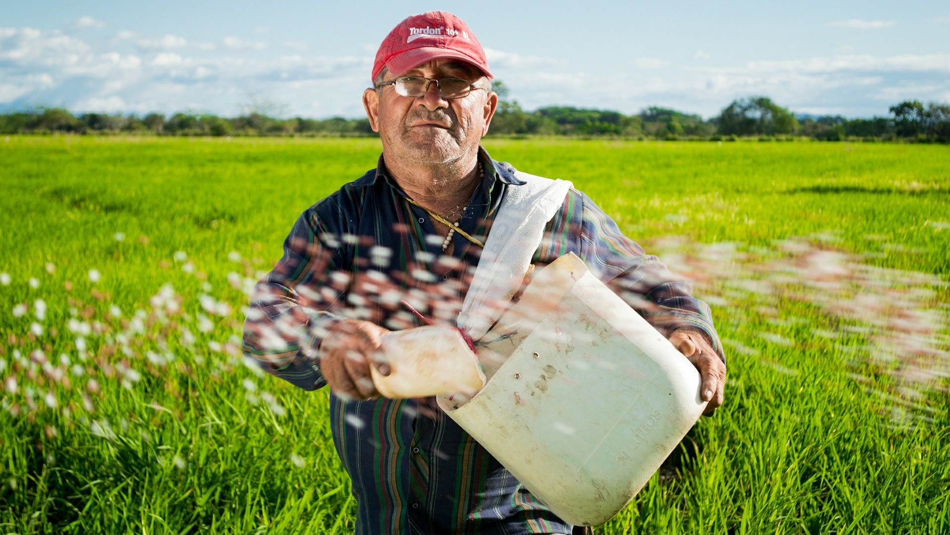 Image by Elias Shariff Falla Mardini from Pixabay