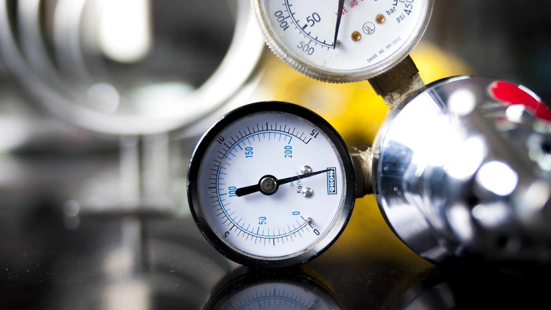 Image by fernando zhiminaicela from Pixabay