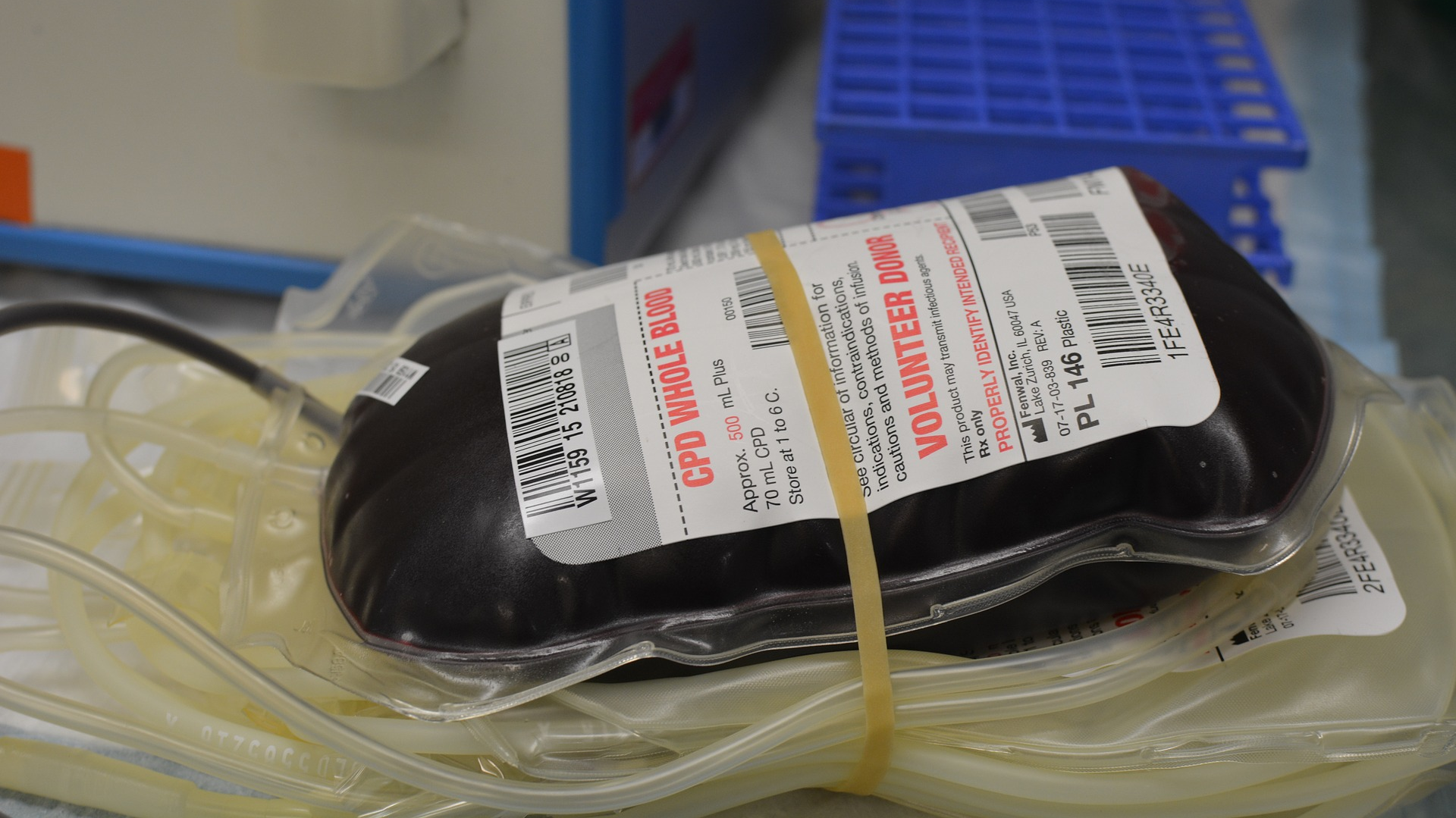 Image by Robert DeLaRosa from Pixabay