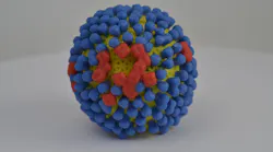 Photo courtesy of NIH and NIAID