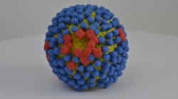 Photo courtesy of NIH and NIAID Photo courtesy of NIH and NIAID