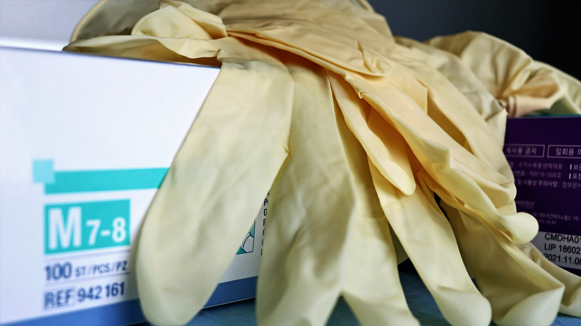 Image by Vesna Harni from Pixabay