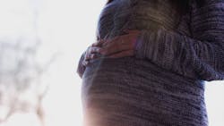 Photo by freestocks.org from Pexels Photo by freestocks.org from Pexels