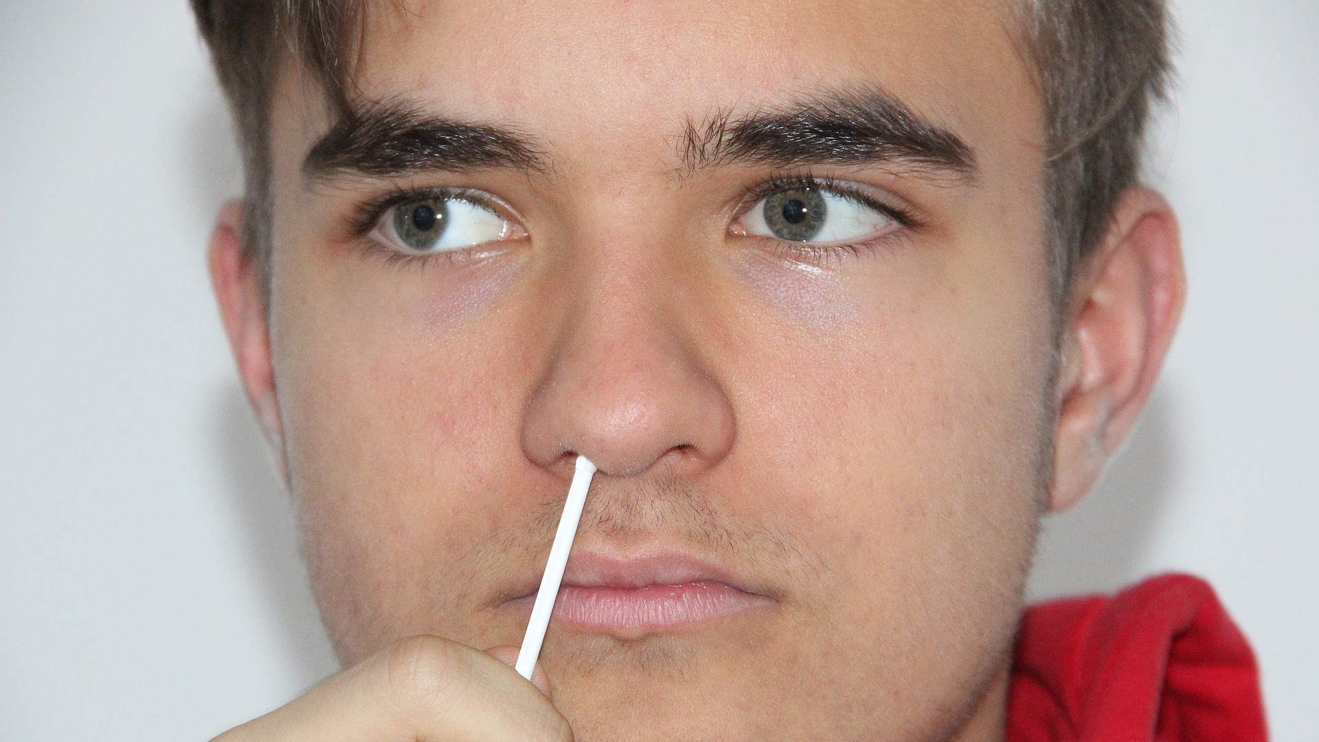 Image by Alexandra_Koch from Pixabay