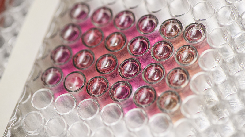 Photo courtesy of Purdue University