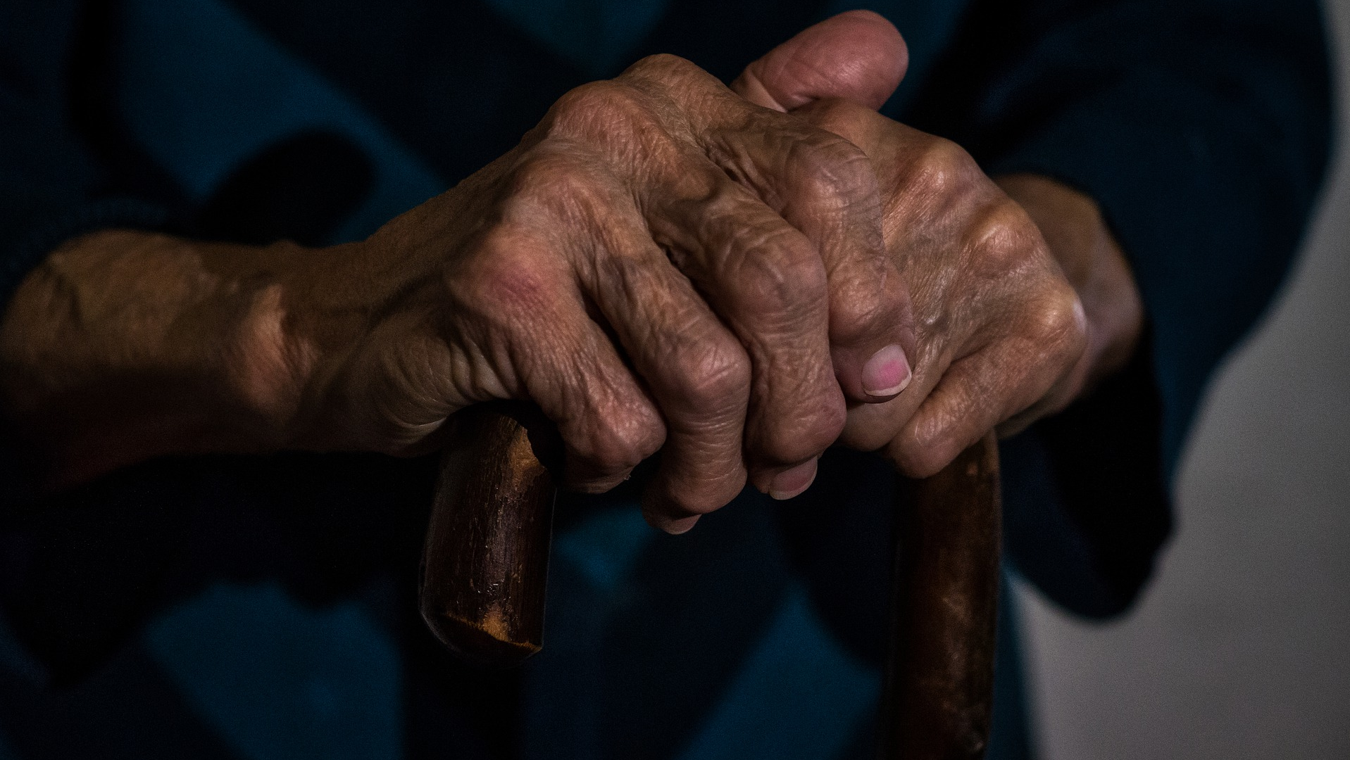 Image by Dewald Van Rensburg from Pixabay