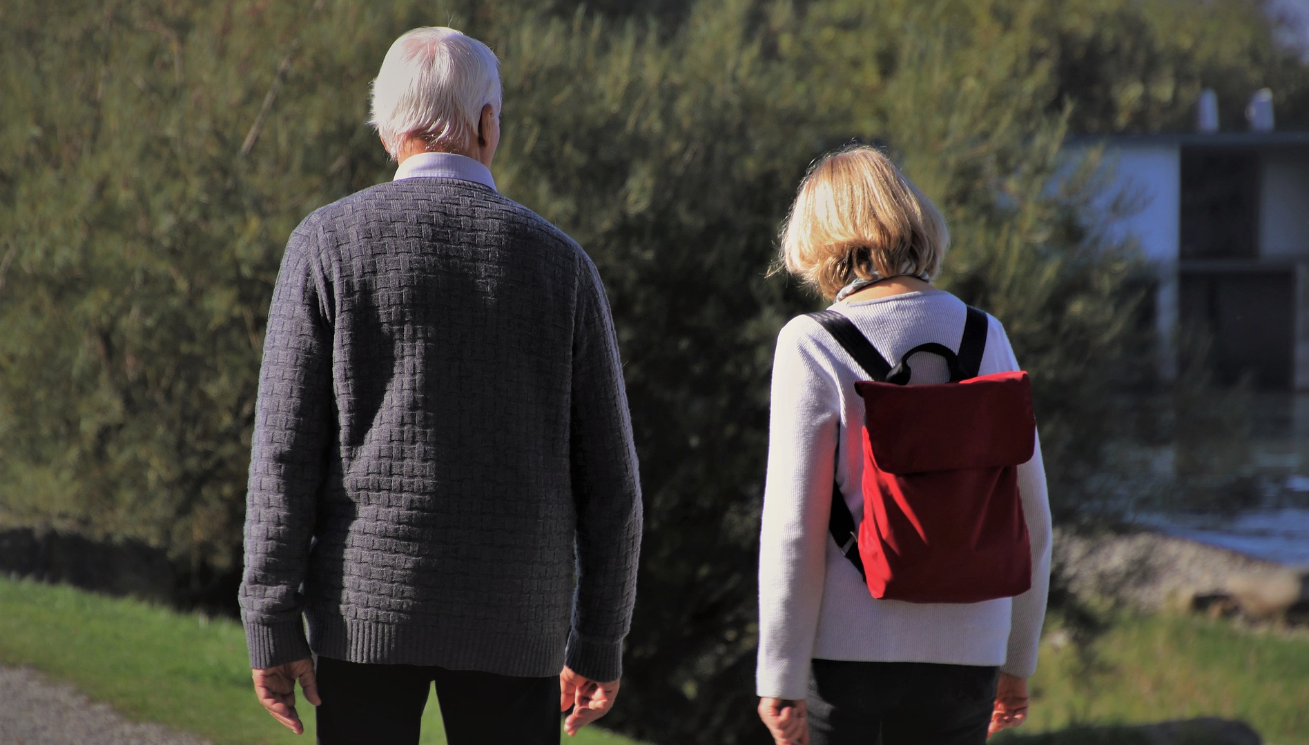 Image by pasja1000 from Pixabay