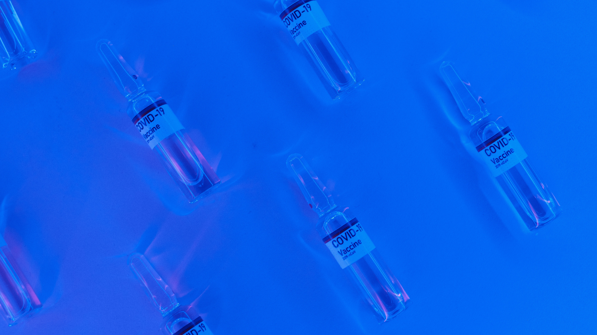 Photo by Alena Shekhovtcova from Pexels