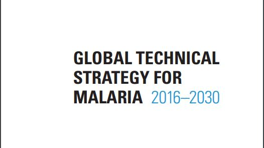 Photo courtesy of WHO