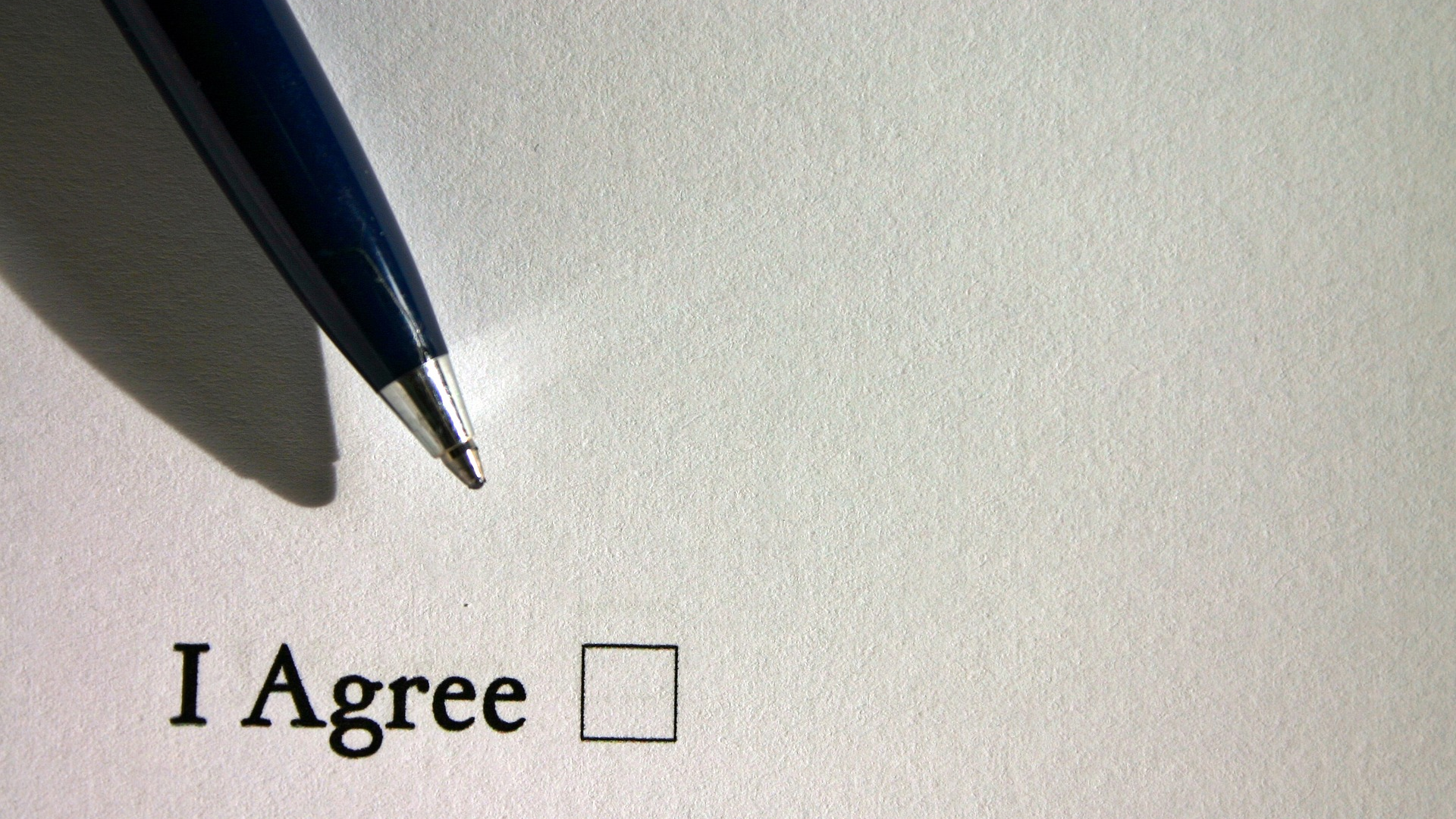 Image by Catkin from Pixabay