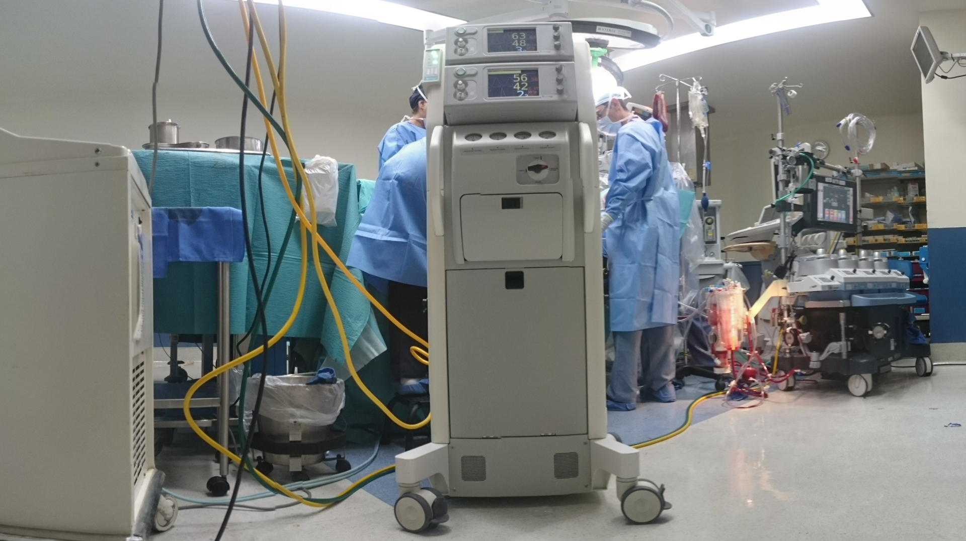 Photo by Natanael Melchor on Unsplash