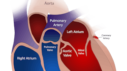 Image by burlesonmatthew from Pixabay Image by burlesonmatthew from Pixabay