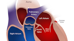 Image by burlesonmatthew from Pixabay Image by burlesonmatthew from Pixabay