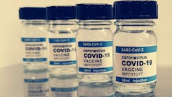 Image by Wilfried Pohnke from Pixabay Image by Wilfried Pohnke from Pixabay