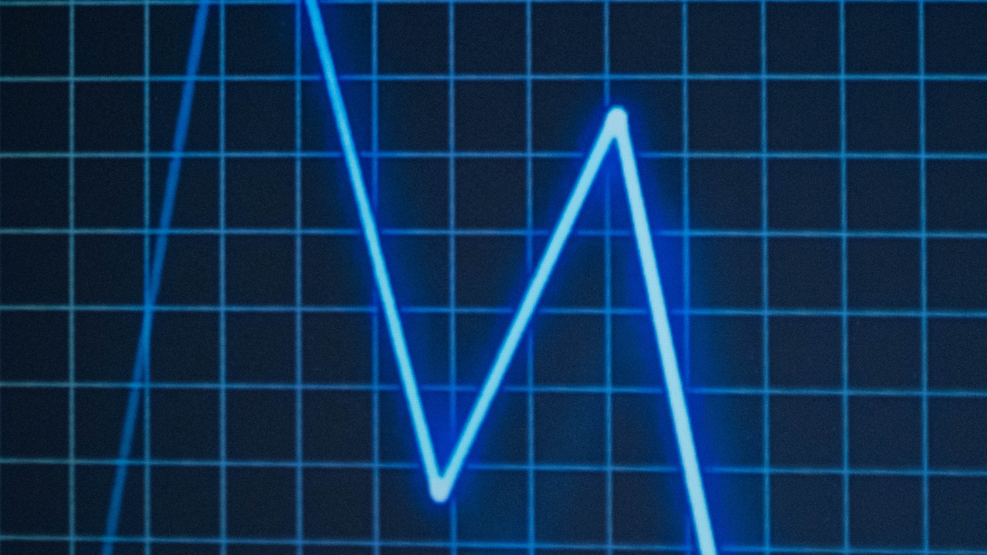 Photo by cottonbro from Pexels