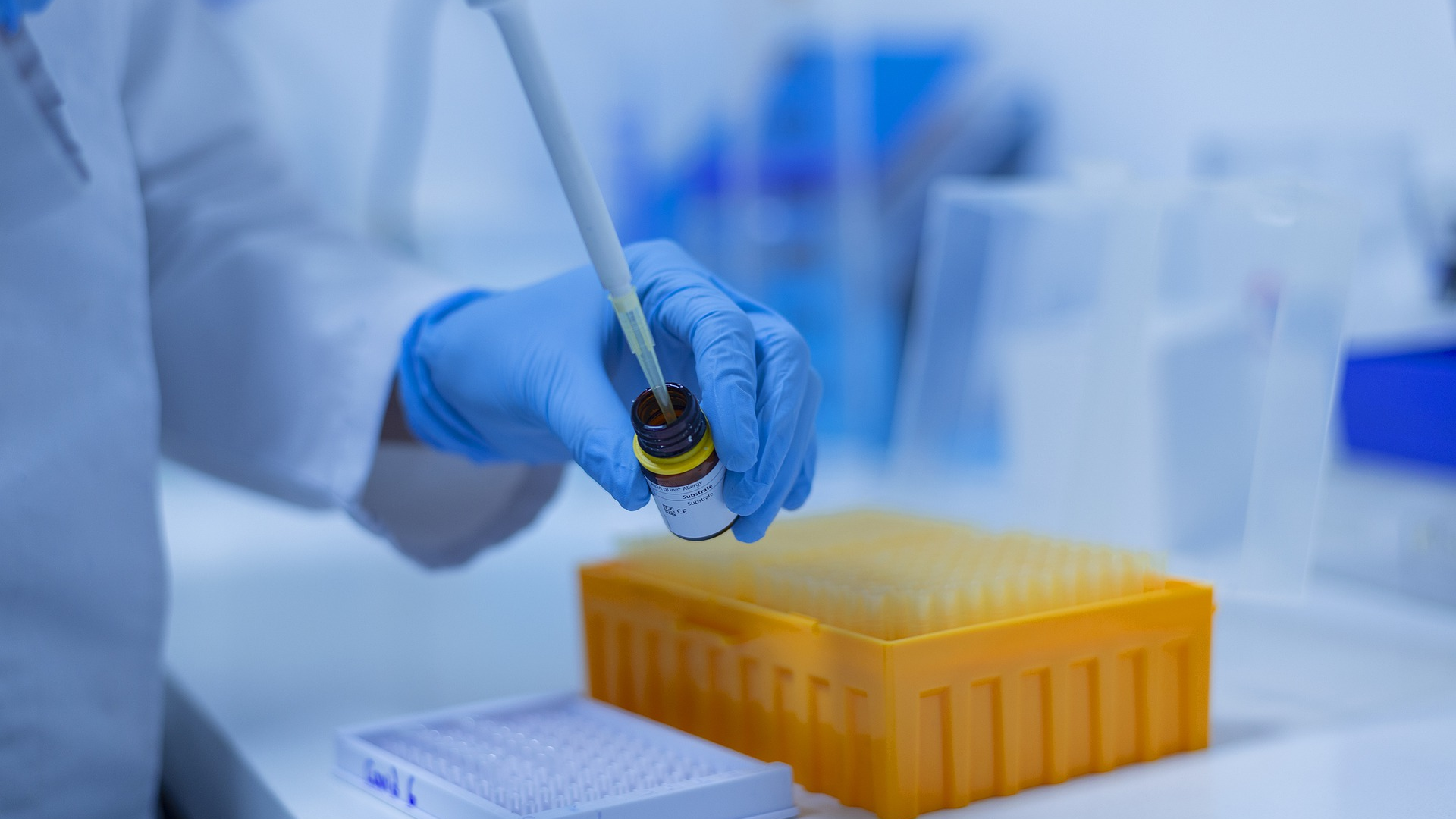 Image by fernando zhiminaicela from Pixabay