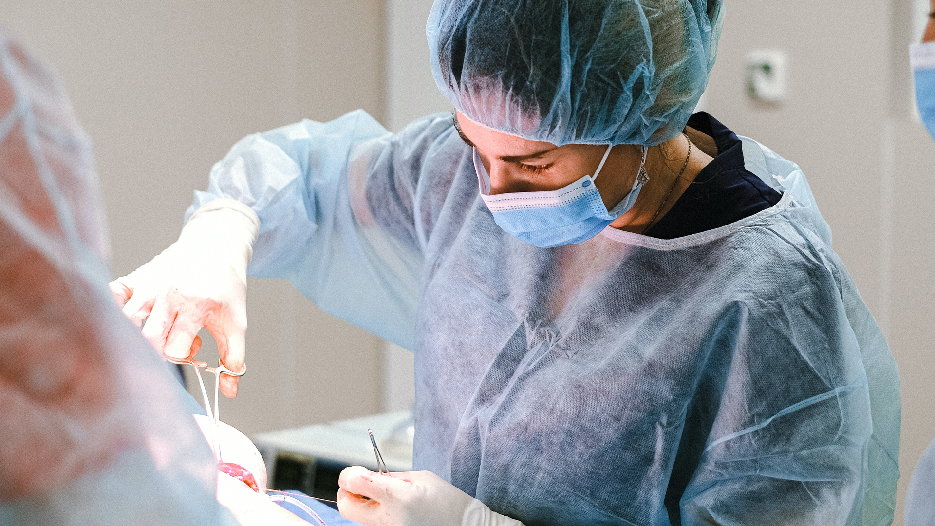 Photo by Anna Shvets from Pexels