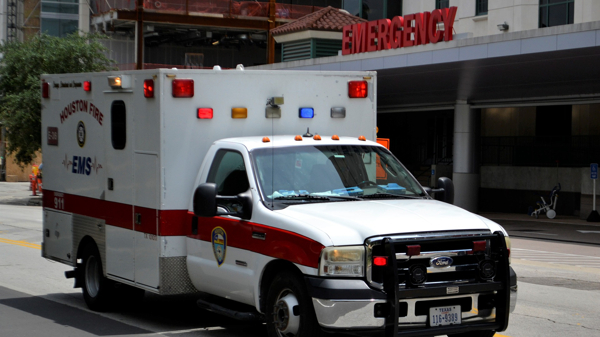 Image by F. Muhammad from Pixabay