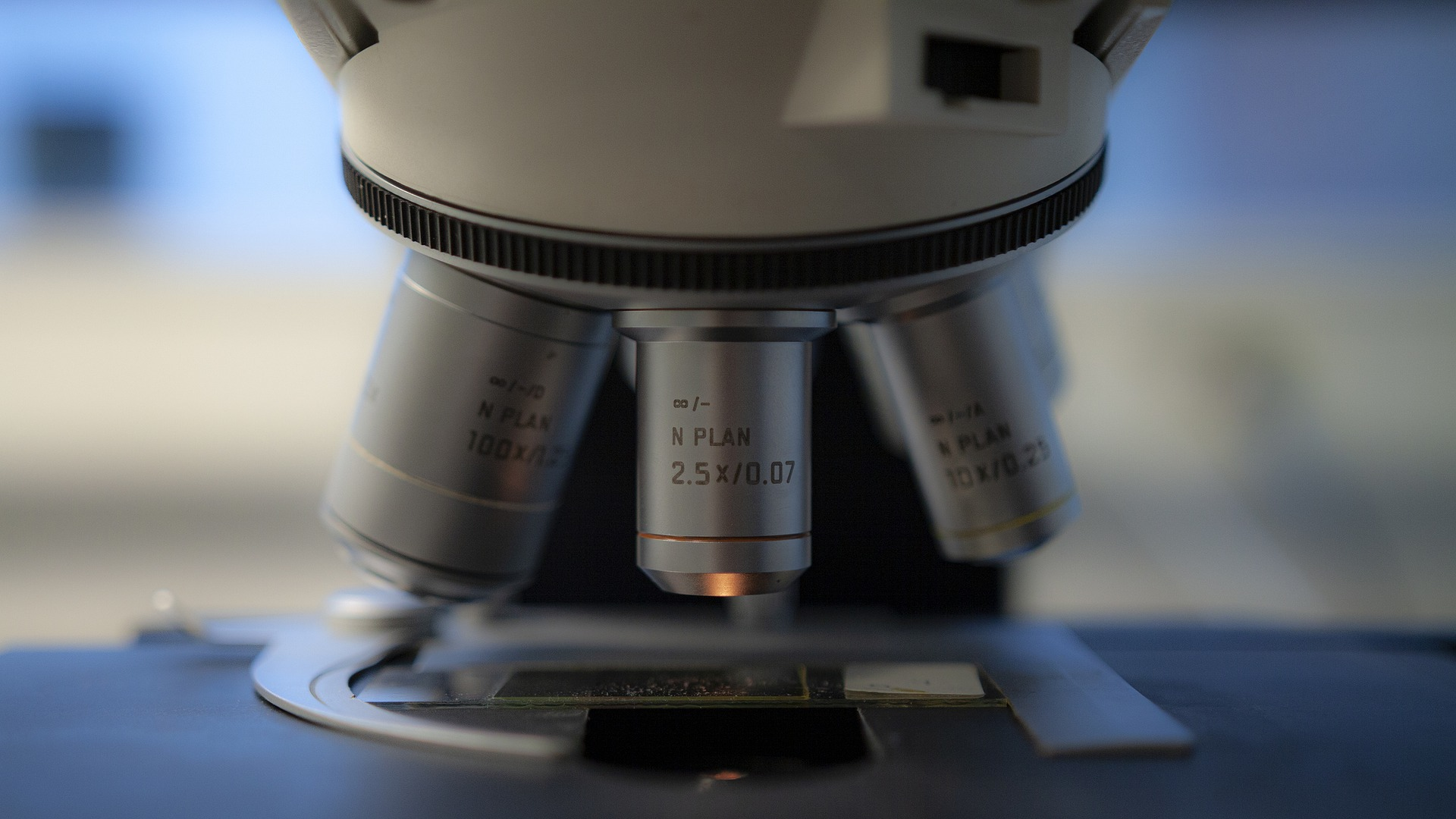 Image by Bokskapet from Pixabay