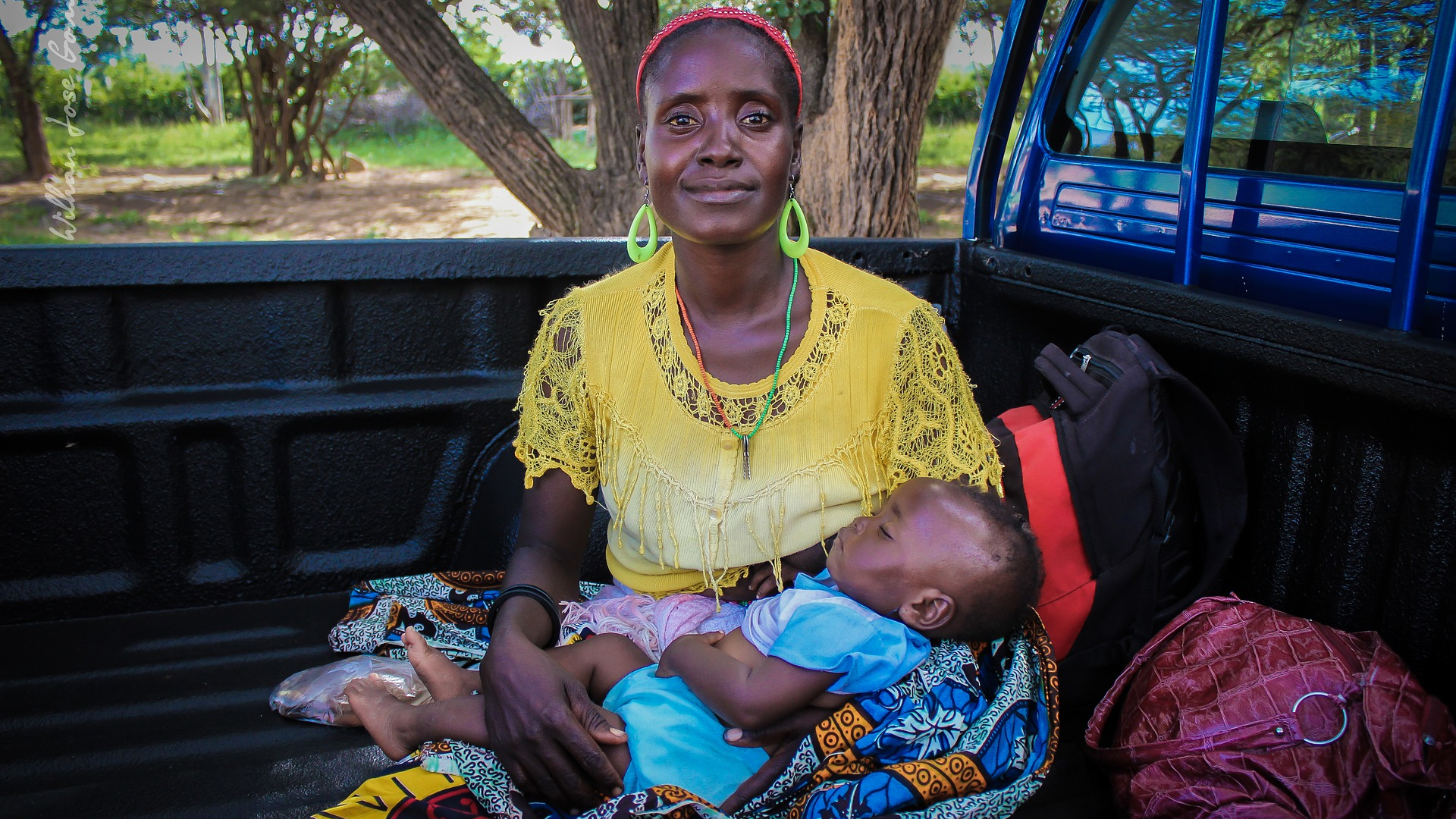 Image by Wilhan Jos&eacute; Gomes wjgomes from Pixabay