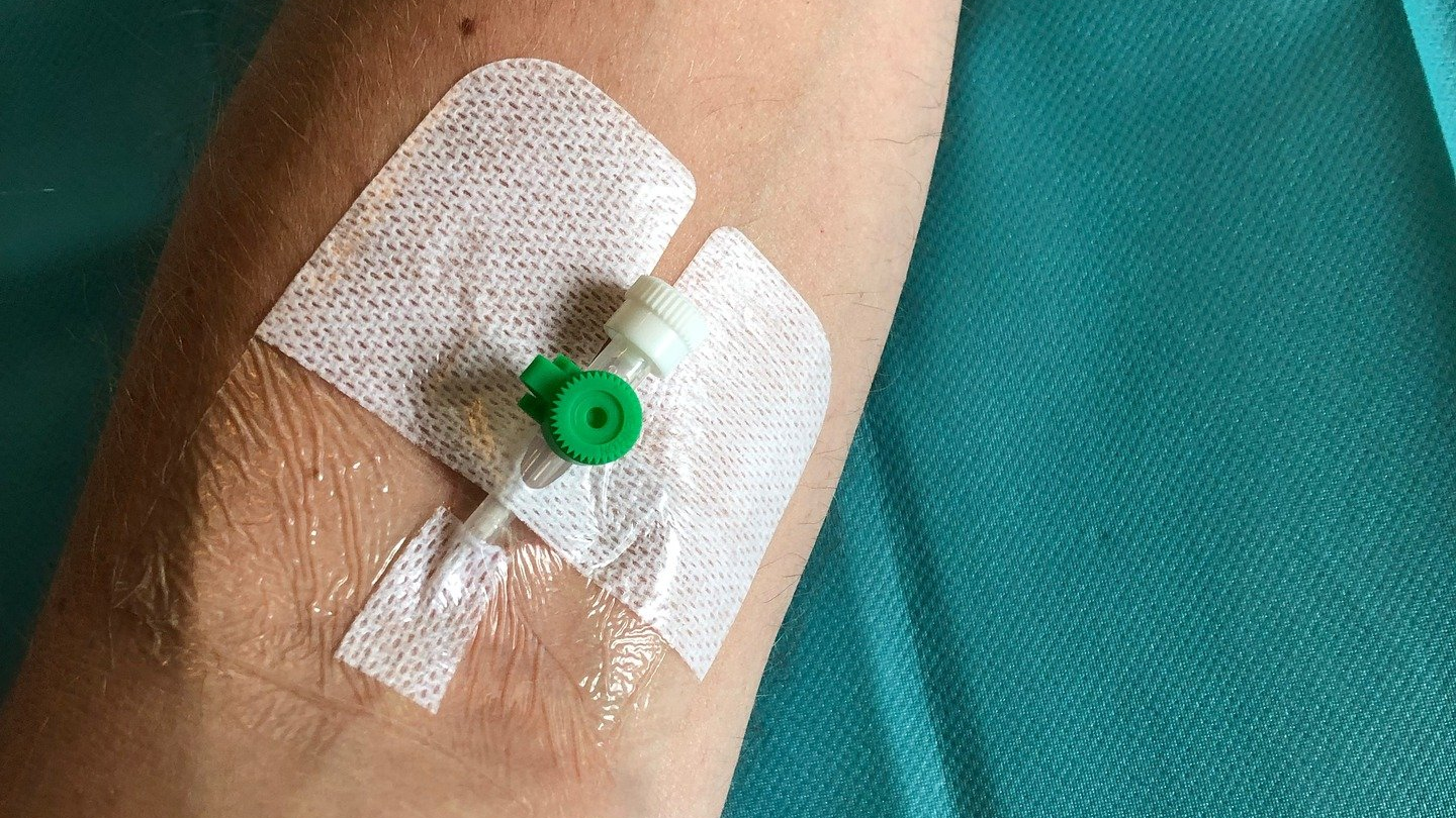 Image by madslumholdt from Pixabay