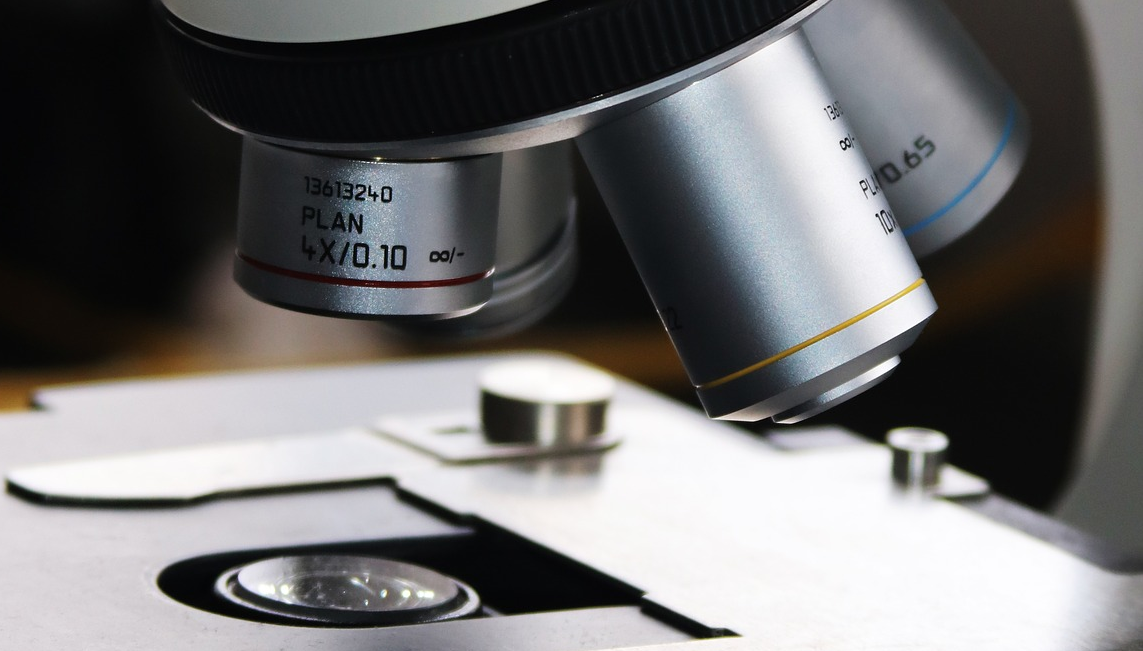 Image by kermy from Pixabay