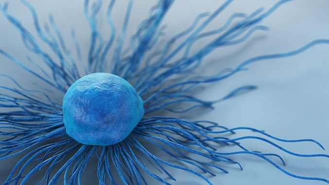 Photo courtesy of Loyola University Medical Center