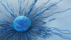 Photo courtesy of Loyola University Medical Center Photo courtesy of Loyola University Medical Center