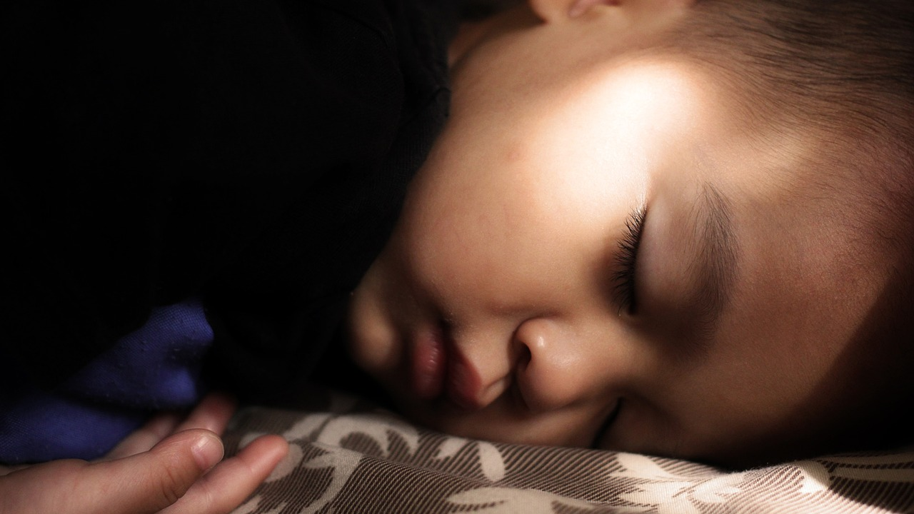 Image by Indra Irawan from Pixabay