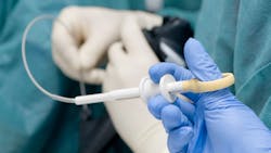 Photo Credit: Max Tactic | Stock adobe Photo Credit: Max Tactic | Stock adobe