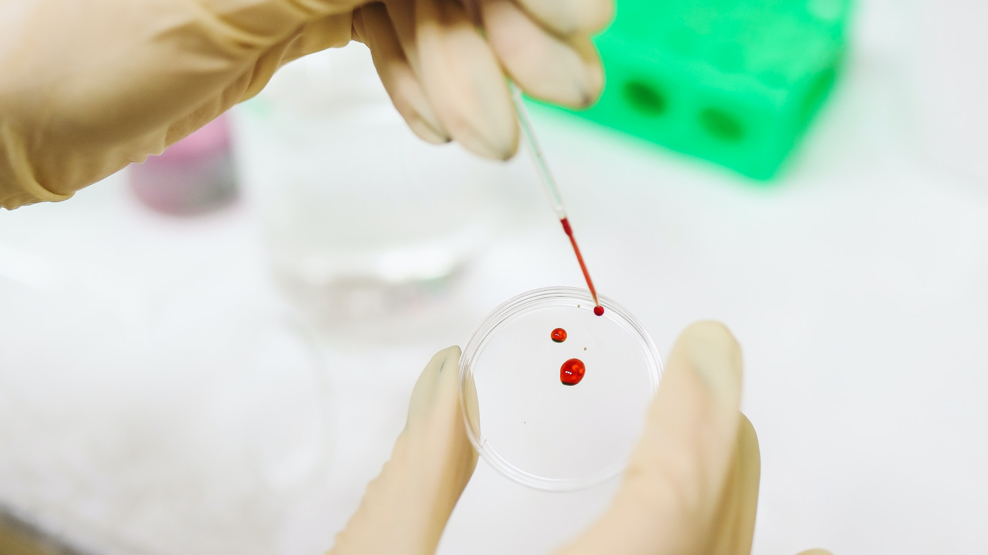 Photo by Polina Tankilevitch from Pexels