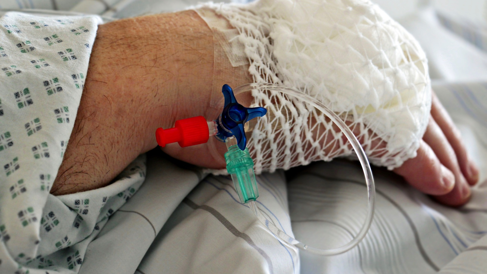 Image by S. Hermann & F. Richter from Pixabay