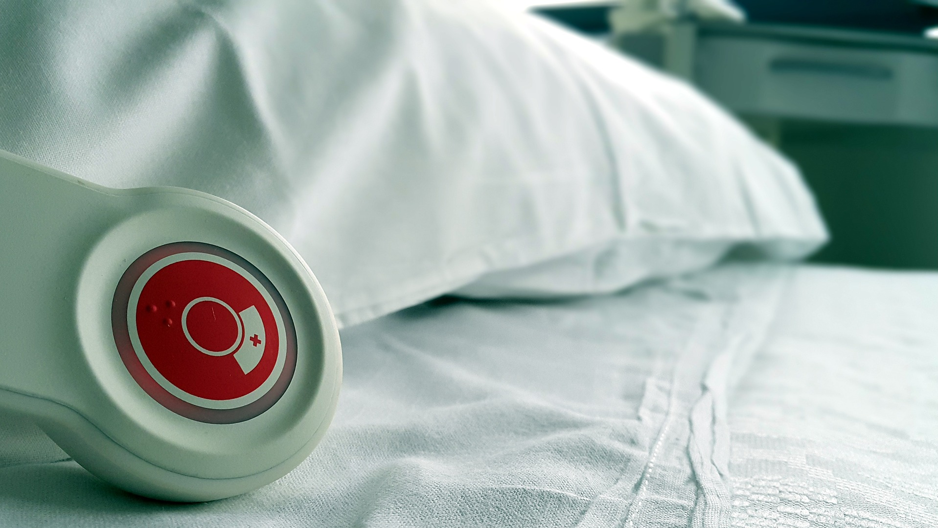 Image by Silvia Tormo from Pixabay