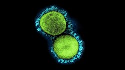 Photo courtesy of NIH and NIAID Photo courtesy of NIH and NIAID